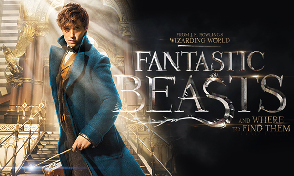 Fantastic Beasts And Where To Find Them 2016 Film